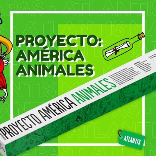 Imagen 10